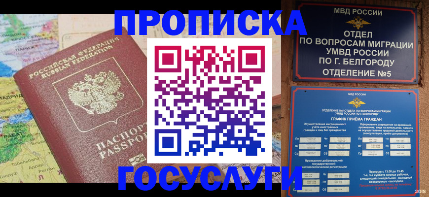 прописка регистрация в Архангельской области